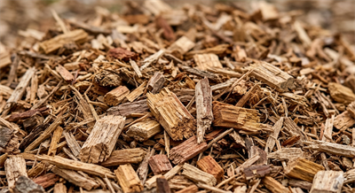 Bulk wood chips for biomass
